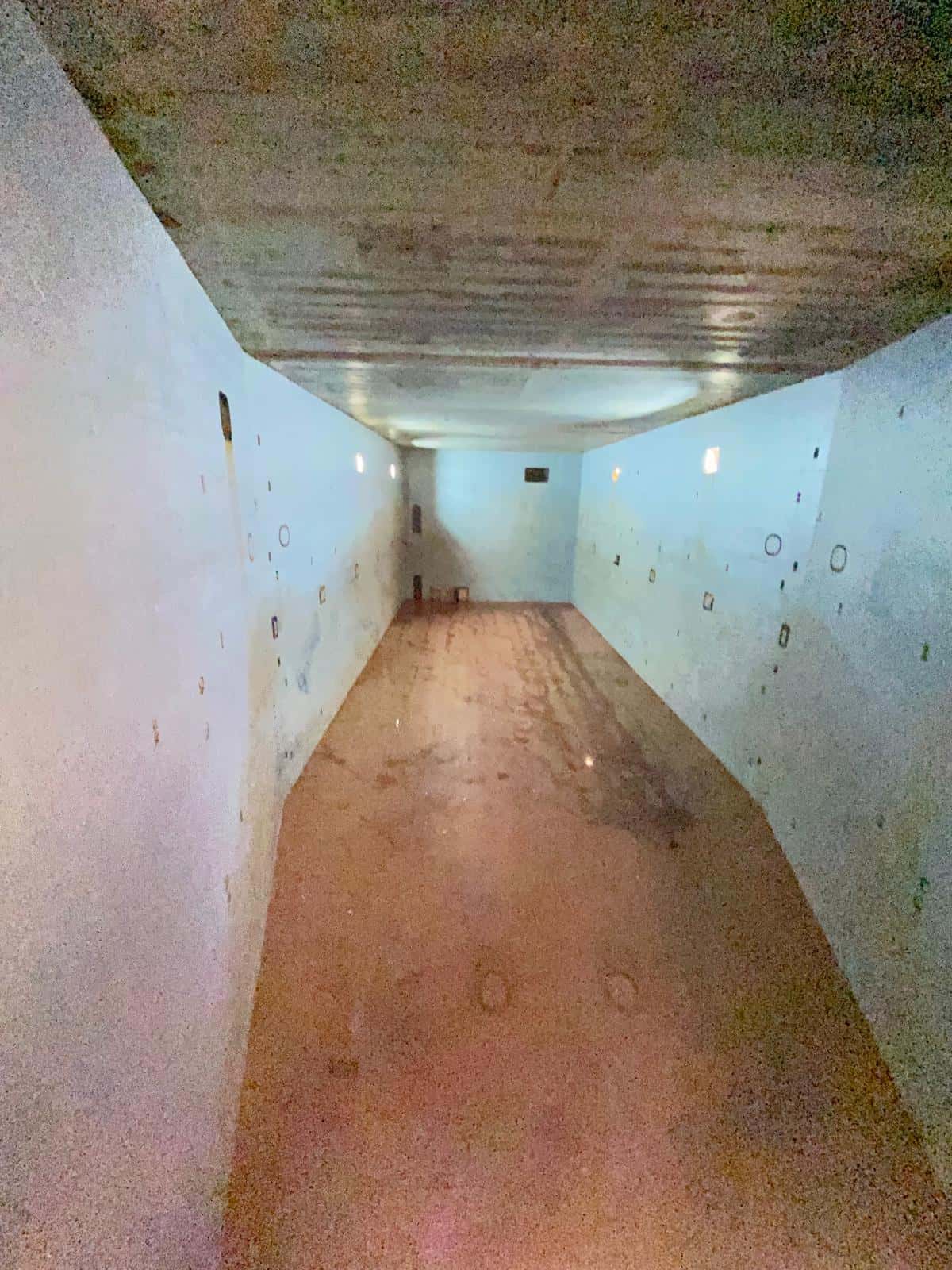 MV EBRU — cargo hold 1
